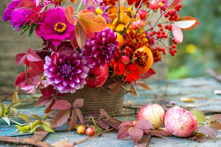 Kytice z podzimních květů a plodů