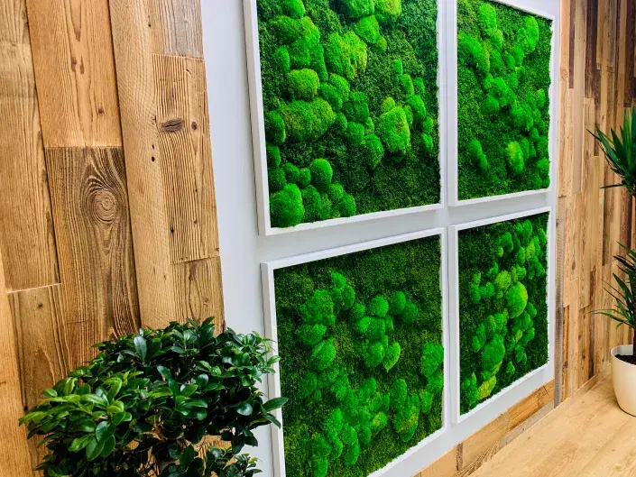 Mechový obraz monokulturní