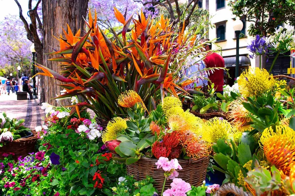 Květinový festival na Madeiře 
