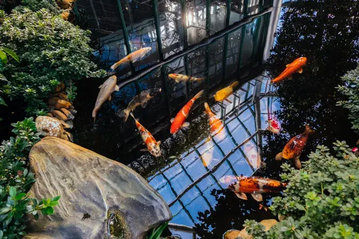 Akvária Liberec Akvária Liberec