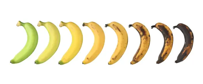 Banán stádium zralosti Banán stádium zralosti