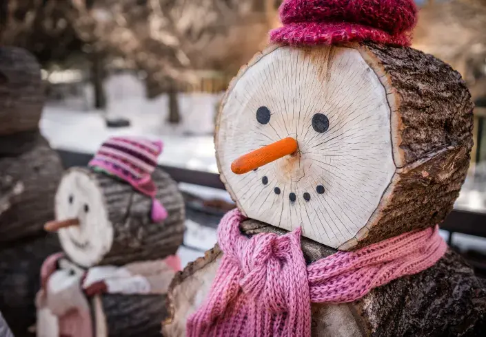 Sněhulák Sněhulák