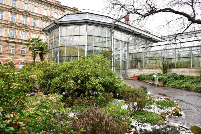 Skleník v botanické zahradě Na Slupi Skleník v botanické zahradě Na Slupi