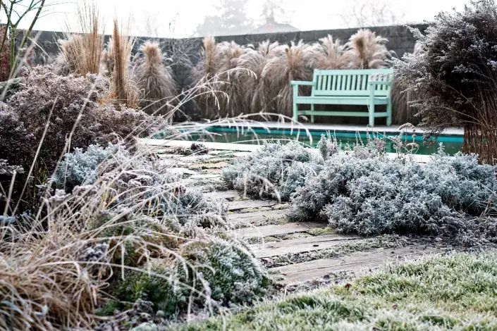 Lavička u bazénu v ojíněné zimní zahradě Lavička u bazénu v ojíněné zimní zahradě