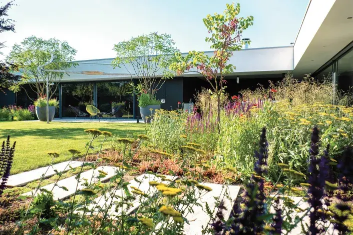 Trvalkový záhon u domu Trvalkový záhon u domu