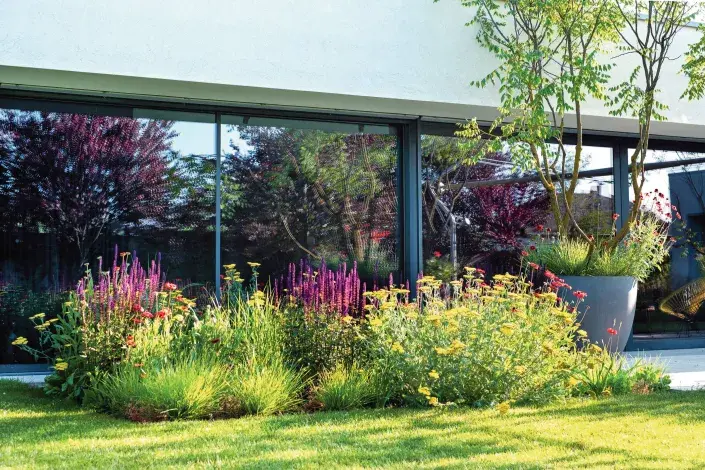 Trvalkový záhon u domu Trvalkový záhon u domu