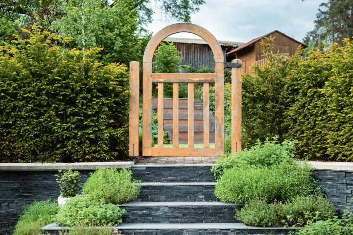 Dřevěná branka v živém plotě Dřevěná branka v živém plotě