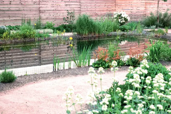 Mlatová cesta vedle biotopu Mlatová cesta vedle biotopu