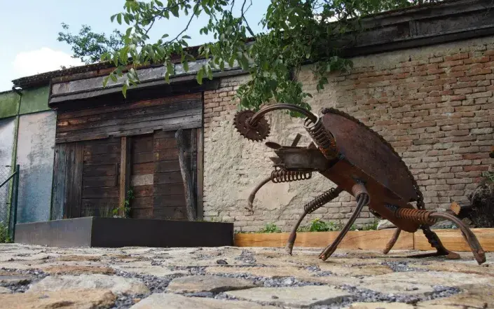 Corten brouk Corten brouk