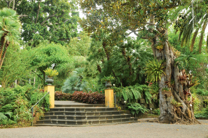 Botanická zahrada Jardín Botánico na Tenerife