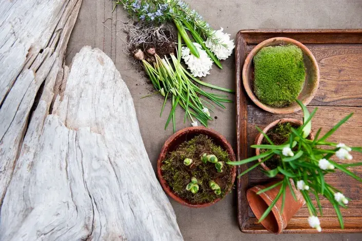 Materiál pro jarní dekoraci Materiál pro jarní dekoraci