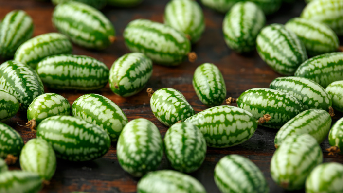 Cucamelon Cucamelon