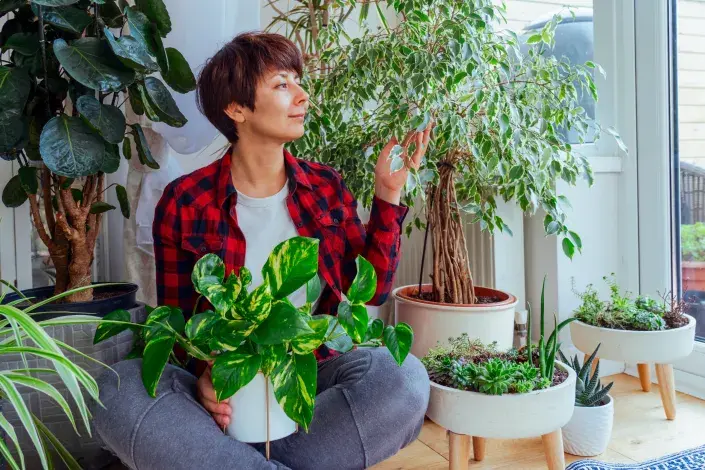 Žena uprostřed pokojových květin Žena uprostřed pokojových květin