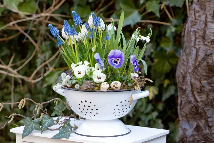 Jarní dekorace v cedníku Jarní dekorace v cedníku