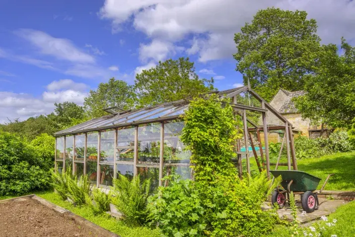 Skleník na zahradě