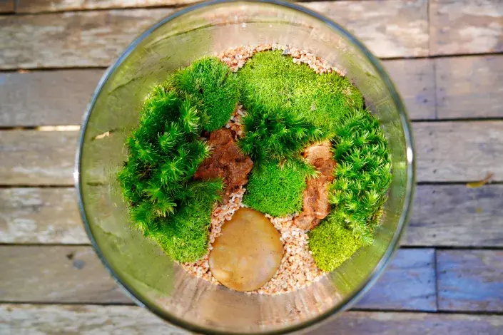 Pohled do mechária Pohled do mechária