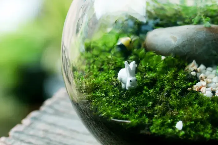 Dekorace v mecháriu Dekorace v mecháriu