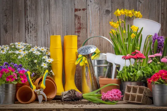 Cibuloviny kvíz Cibuloviny kvíz