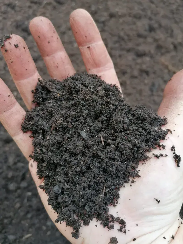 Jaká je půda v naší zahradě? Jakou máme na zahradě půdu, zjistíme jednoduchým testem..