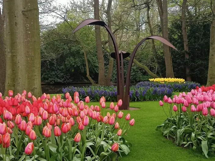 Keukenhofen Keukenhofen