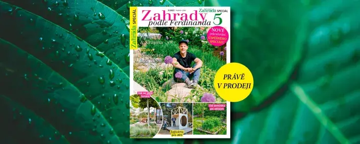 Zahrady podle Ferdinanda 5 Zahrady podle Ferdinanda 5