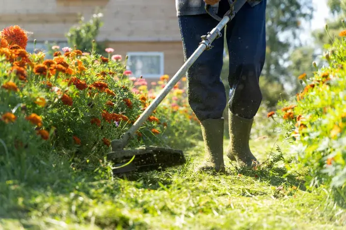 sekání trávy sekání trávy