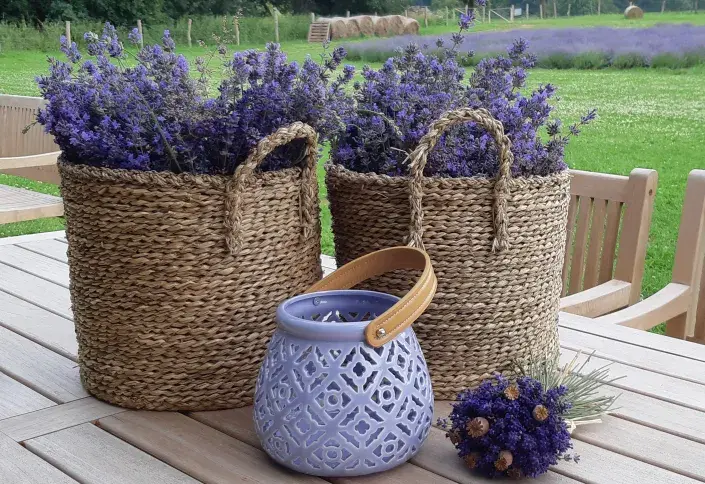 Zahrady Myšlín Zahrady Myšlín