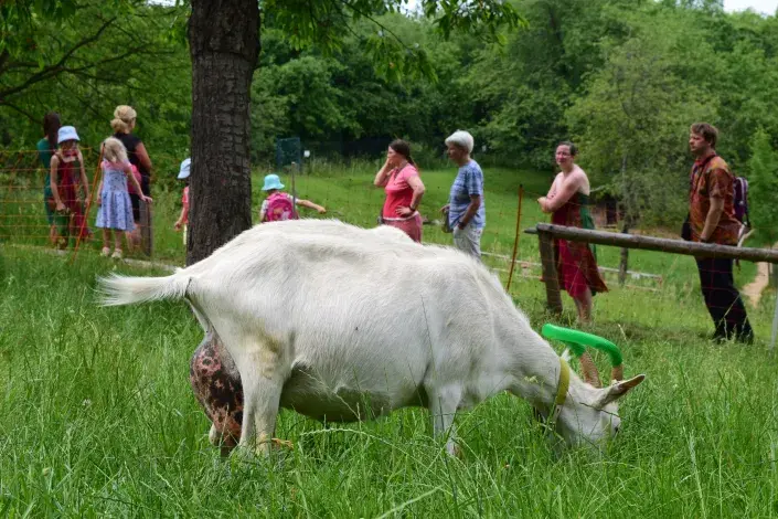 Toulcův dvůr v Praze