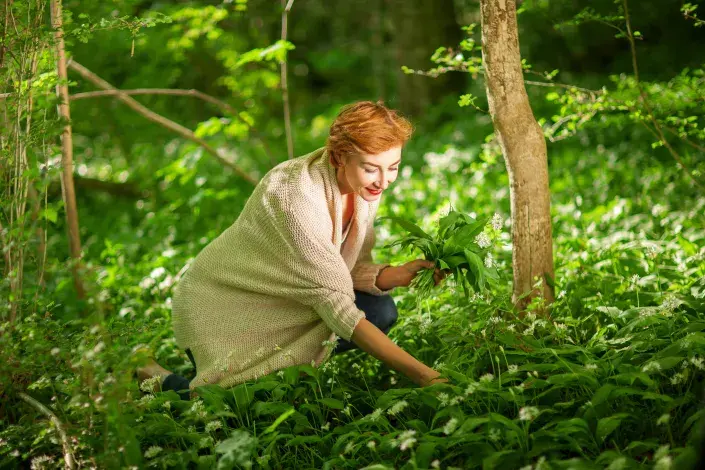 Lidové názvy bylin Lidové názvy bylin