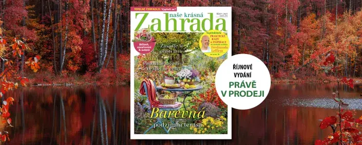 Říjnová Naše krásná zahrada Říjnová Naše krásná zahrada