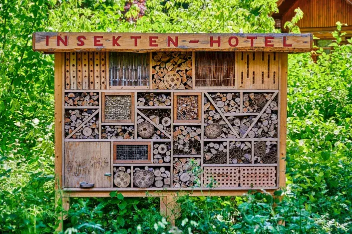 Hmyzí hotel Hmyzí hotel