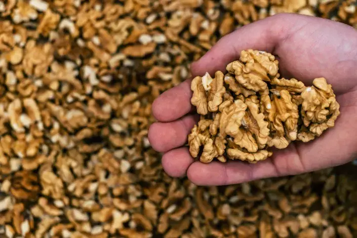 Tvar jádra připomíná mozek