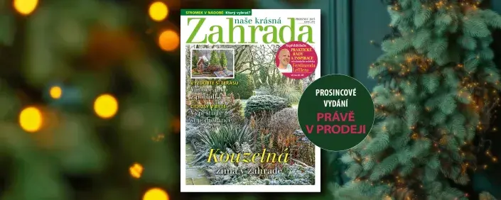 Prosincové vydání Naší krásné zahrady