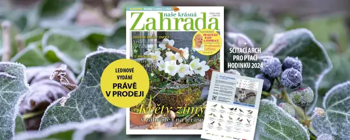 Lednová Naše krásná zahrada Lednová Naše krásná zahrada