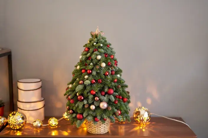 Vánoční stromeček