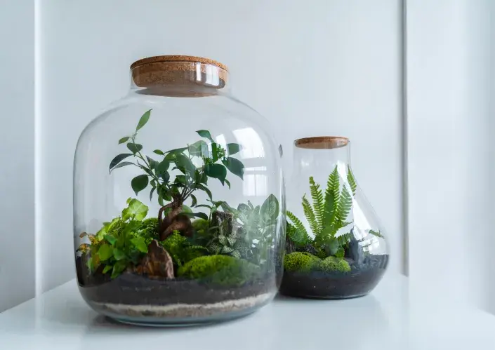 Zahrádka v lahvi Zahrádka v lahvi