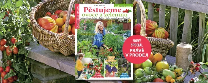 Naše krásná zahrada speciál Pěstujeme ovoce a zeleninu Naše krásná zahrada speciál Pěstujeme ovoce a zeleninu