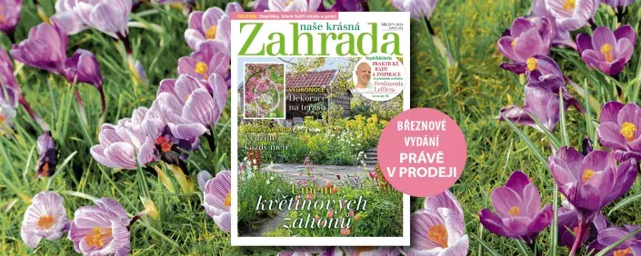 Naše krásná zahrada 3/2024 Naše krásná zahrada 3/2024
