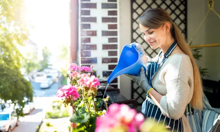 Balkonové rostliny Balkonové rostliny