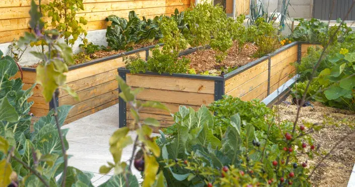 Vyvýšené záhony Vyvýšené záhony