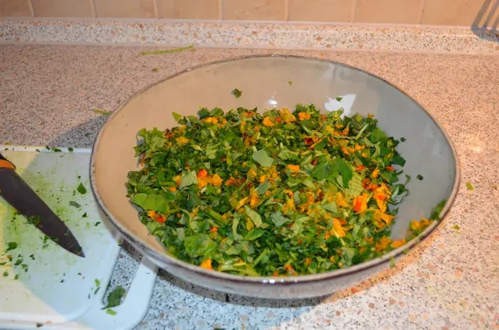 Nakrájená lichořeřišnice