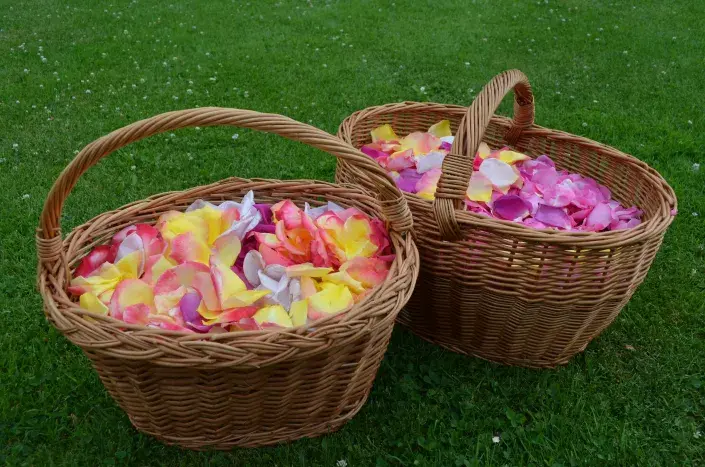 Ze zdravých růžových květů otrhejte okvětní plátky Ze zdravých růžových květů otrhejte okvětní plátky