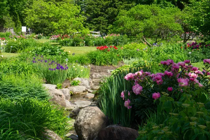 Zahradní výstava Zahradní výstava