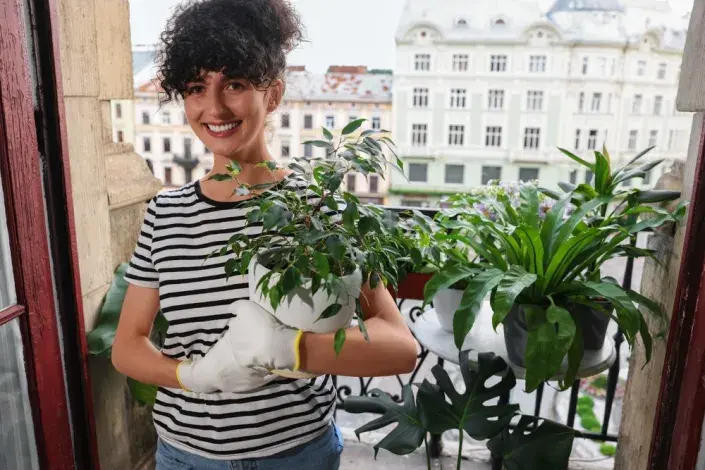 Přes léto pěstujte pokojové květiny na balkoně či v zahradě Přes léto pěstujte pokojové květiny na balkoně či v zahradě