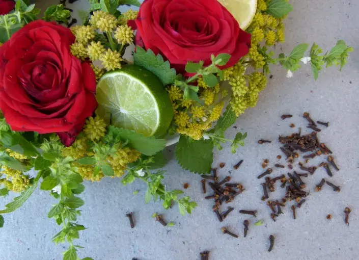 věnec komáři věnec komáři