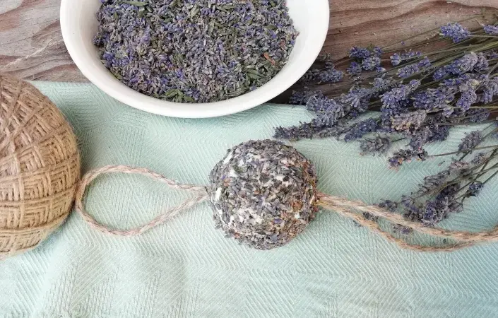 levandule DIY