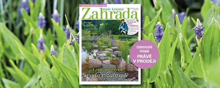 Naše krásná zahrada 7/2024 Naše krásná zahrada 7/2024