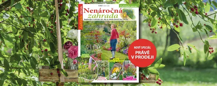 Nenáročná zahrada Nenáročná zahrada