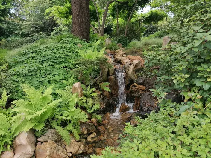 Japonská zahrada Japonská zahrada