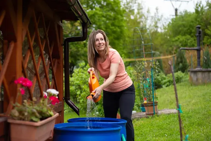 pravidelná závlaha může být problém pravidelná závlaha může být problém